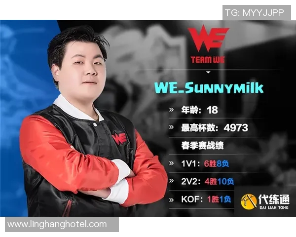 王者荣耀评论分析：WE战队防守策略的优缺点与未来改进方向探讨